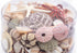 beach mix seashell pack